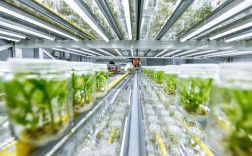 作物高产技术有哪些关键方法？