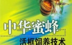 中华蜜蜂活框饲养技术