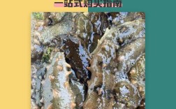 2025福建海参价格会涨还是跌？