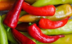 常见辣椒品种有哪些？