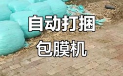 袋装玉米秸秆青储技术要点有哪些？