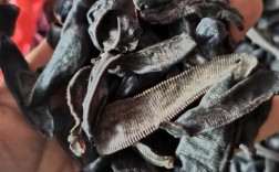 2012年水蛭干货价格为何暴涨？