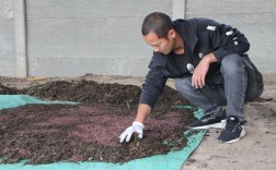 人工养殖蚯蚓技术视频