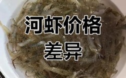 河虾批发价今日行情如何？