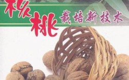 CCTV核桃种植技术有哪些要点？