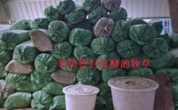 生物发酵秸秆饲料技术如何提升饲料价值？