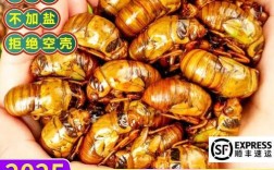 2025知了猴皮价格会涨还是跌？