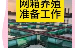 网箱鳝鱼养殖技术视频