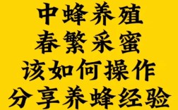 春季春繁如何实现养蜂高产？