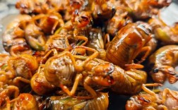 2025临沂金蝉价格会涨还是跌？