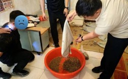 2025年蝎子收购价多少钱一斤？