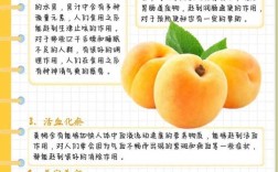 哪种黄桃高产又价高？