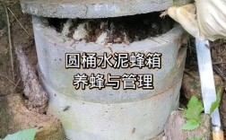 蜜蜂圆桶养殖技术视频，怎么操作才高效？