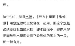 哪些蚂蝗品种能入药？