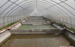 蚯蚓泥鳅养殖视频怎么学？技术要点有哪些？