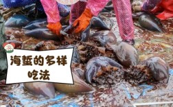 海蜇养殖常见问题有哪些？