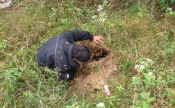 2025年野鸡价格会涨还是跌？