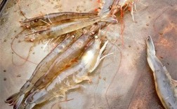 冬棚养南美白对虾，控温增氧咋操作？