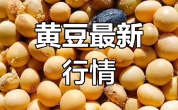 黑龙江大豆价格最新行情如何？