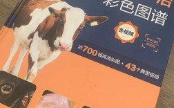 肉牛疾病防治技术有哪些实用要点？