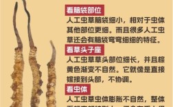 虫虫草水产养殖技术如何掌握？