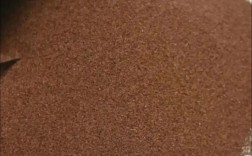 2025年天然卤虫卵价格会涨还是跌？