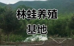 2025年林蛙养殖技术如何突破？