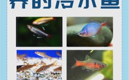 家养温水鱼品种有哪些？