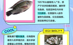 罗非鱼和鲫鱼养殖技术有何不同？