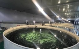 2025年鳝鱼养殖技术有何新突破？