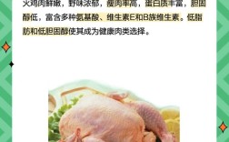 花卉火鸡养殖技术有哪些关键要点？