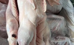 东北养鹅选什么品种最合适？抗寒耐粗饲的优质鹅品种有哪些？