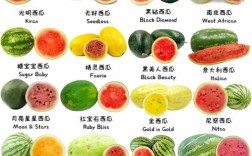 西瓜品种五花八门，从麒麟瓜、黑美人、京欣一号到早春红玉，这些名字背后藏着哪些育种故事与口感密码？