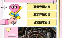 泥鳅自然繁殖技术要点有哪些？