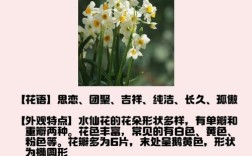 水仙花品种有哪些？