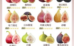 哪些无花果品种又大又甜？