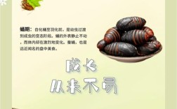 中国十大蚕品种排名