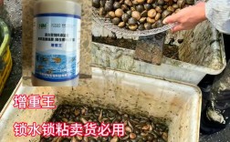 水蛭人工高产养殖技术要点有哪些？