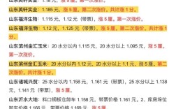 今日河北衡水玉米价格多少？