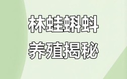 如何系统学习养殖青蛙技术？