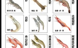 哪种淡水虾个头最大？