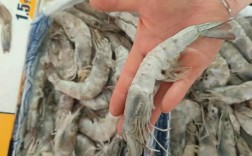 天津青虾产地价多少钱一斤？