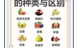 无花果种类品种有哪些？