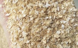 商丘麸皮价格现在多少钱？