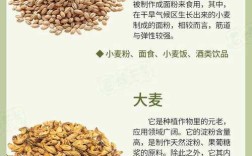 小麦品种河南山东，哪个更优？