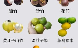 山竹哪个品种最好吃？