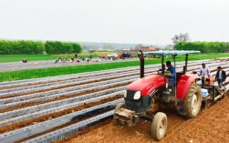 每日农经栽植技术视频有哪些实用技巧？