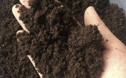 鸡粪养蚯蚓视频，技术要点有哪些？