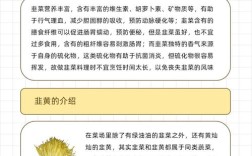 韭菜韭黄韭苔咋种才高产？