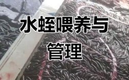 2025水蛭养殖技术有哪些新突破？